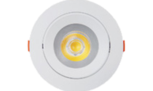 What are the applications of china Plastic LED spotlight